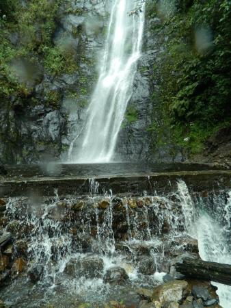 Cascadas en Coroico