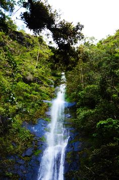 Cascadas en Coroico