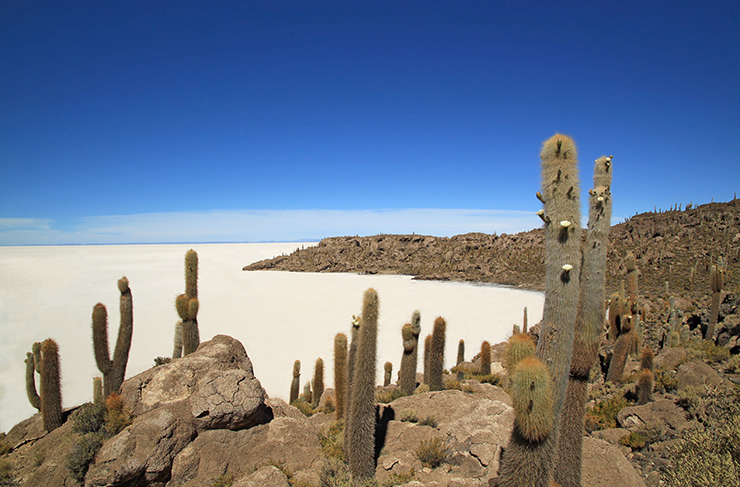 Uyuni, Potosi - Bolivia - Crédito de la imagen: onthegotours.com